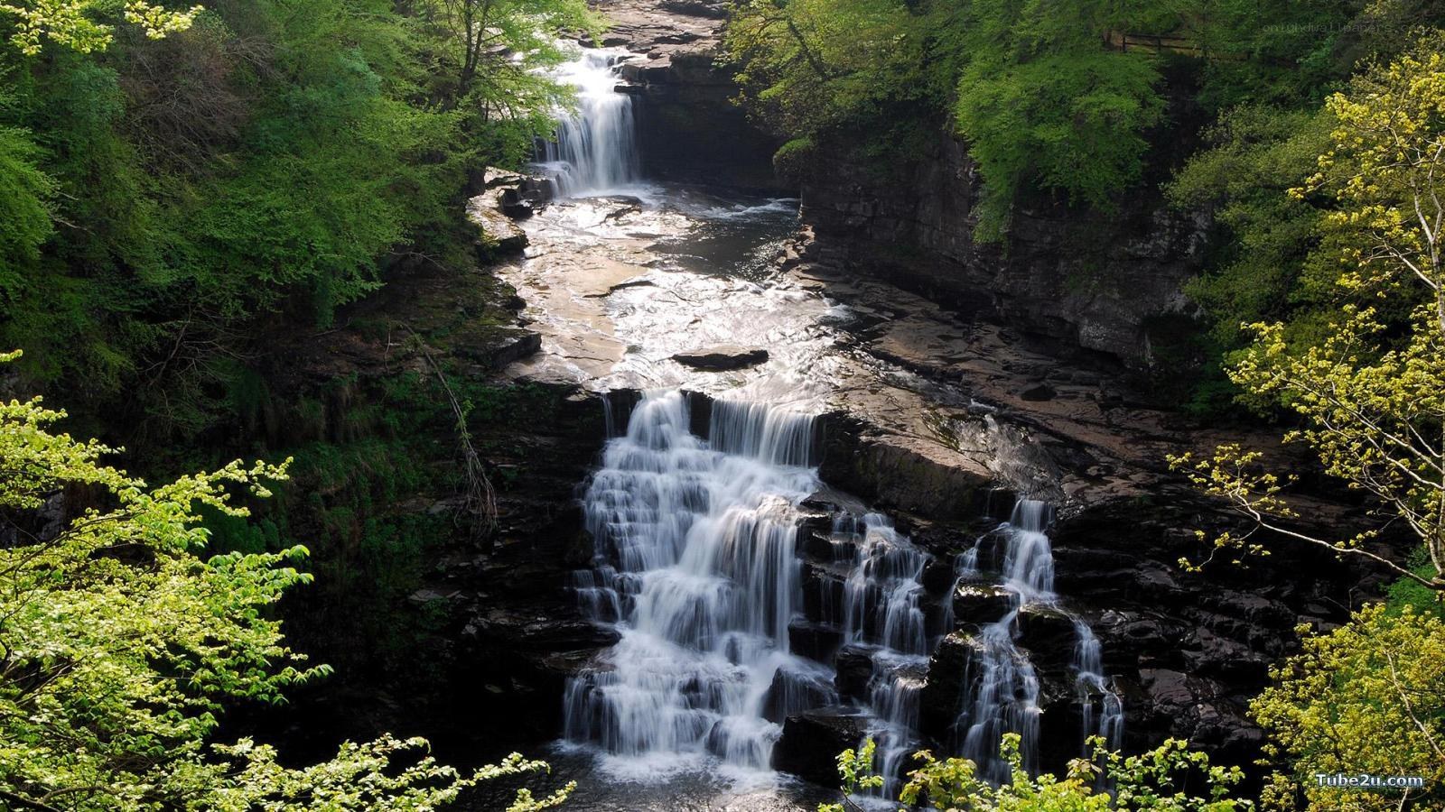 Waterfall in a lush forest
