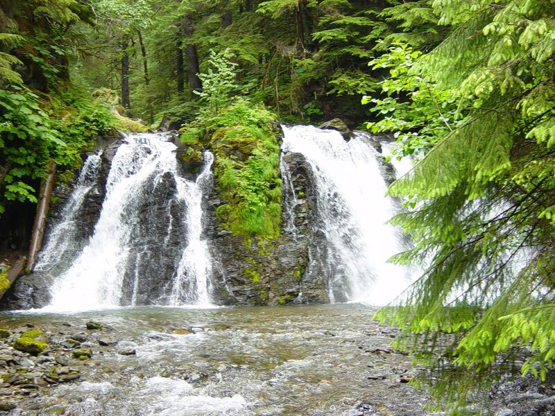 Waterfall in a lush forest