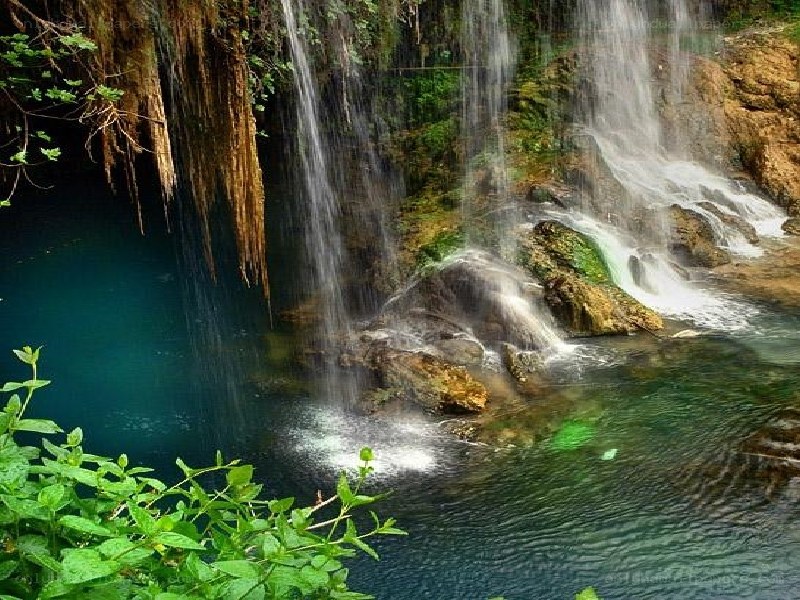 Waterfall in a lush forest