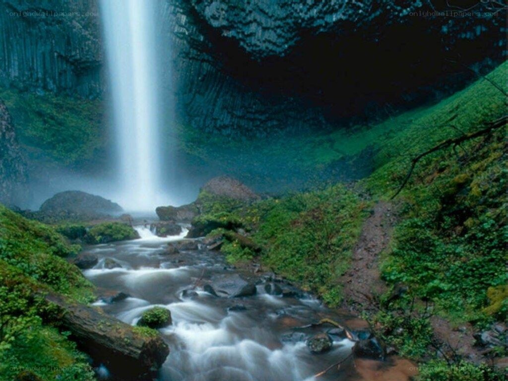 Waterfall in a lush forest