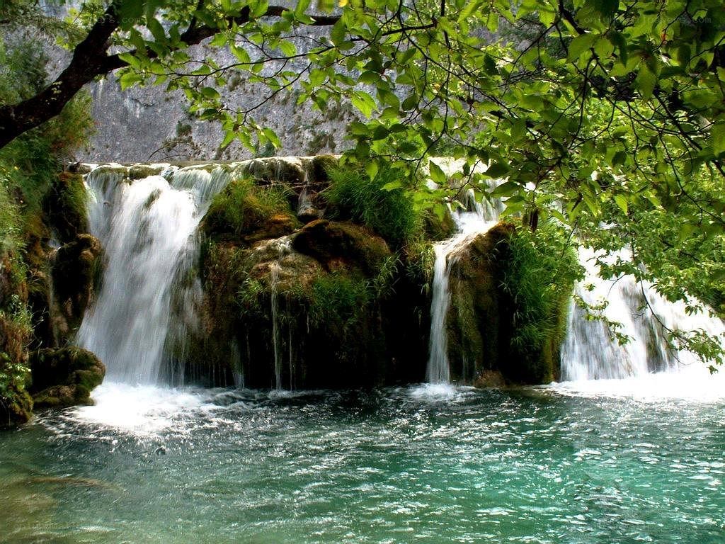 Waterfall in a lush forest