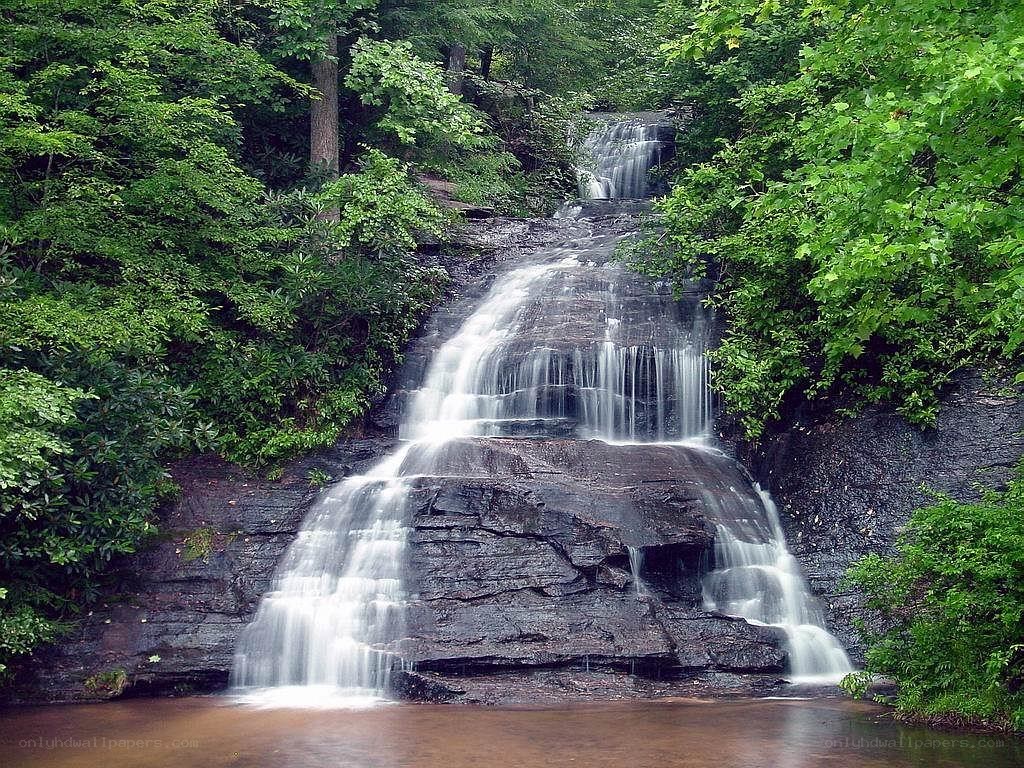 Waterfall in a lush forest