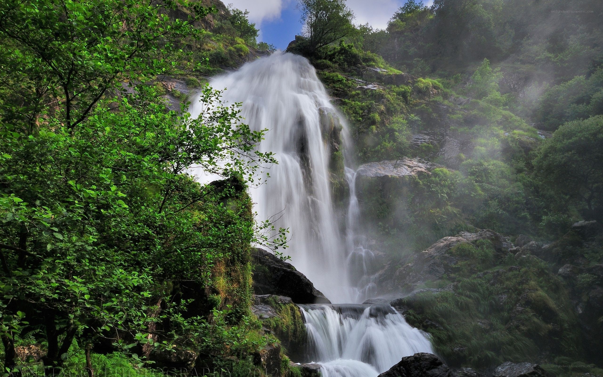 Waterfall in a lush forest