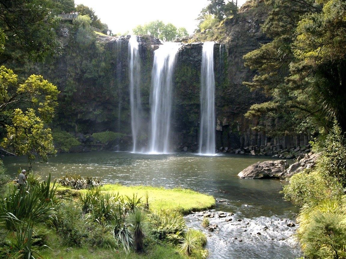 Waterfall in a lush forest
