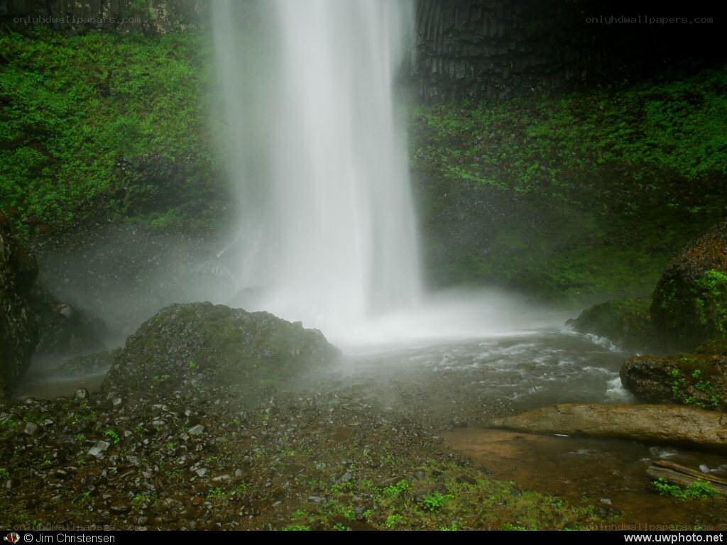 Waterfall in a lush forest