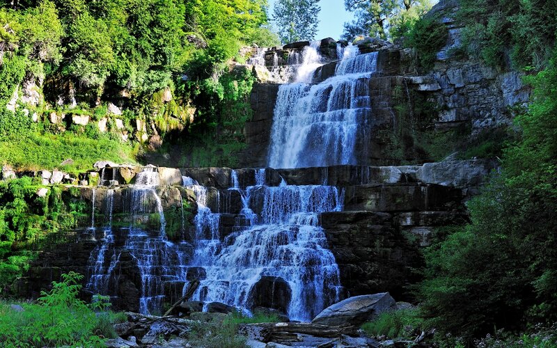 Waterfall in a lush forest