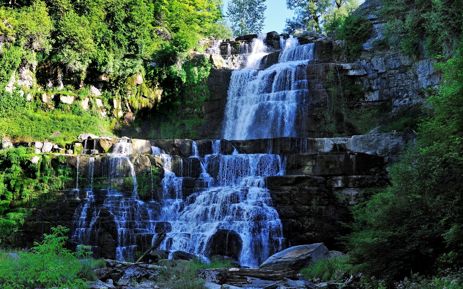 Waterfall in a lush forest