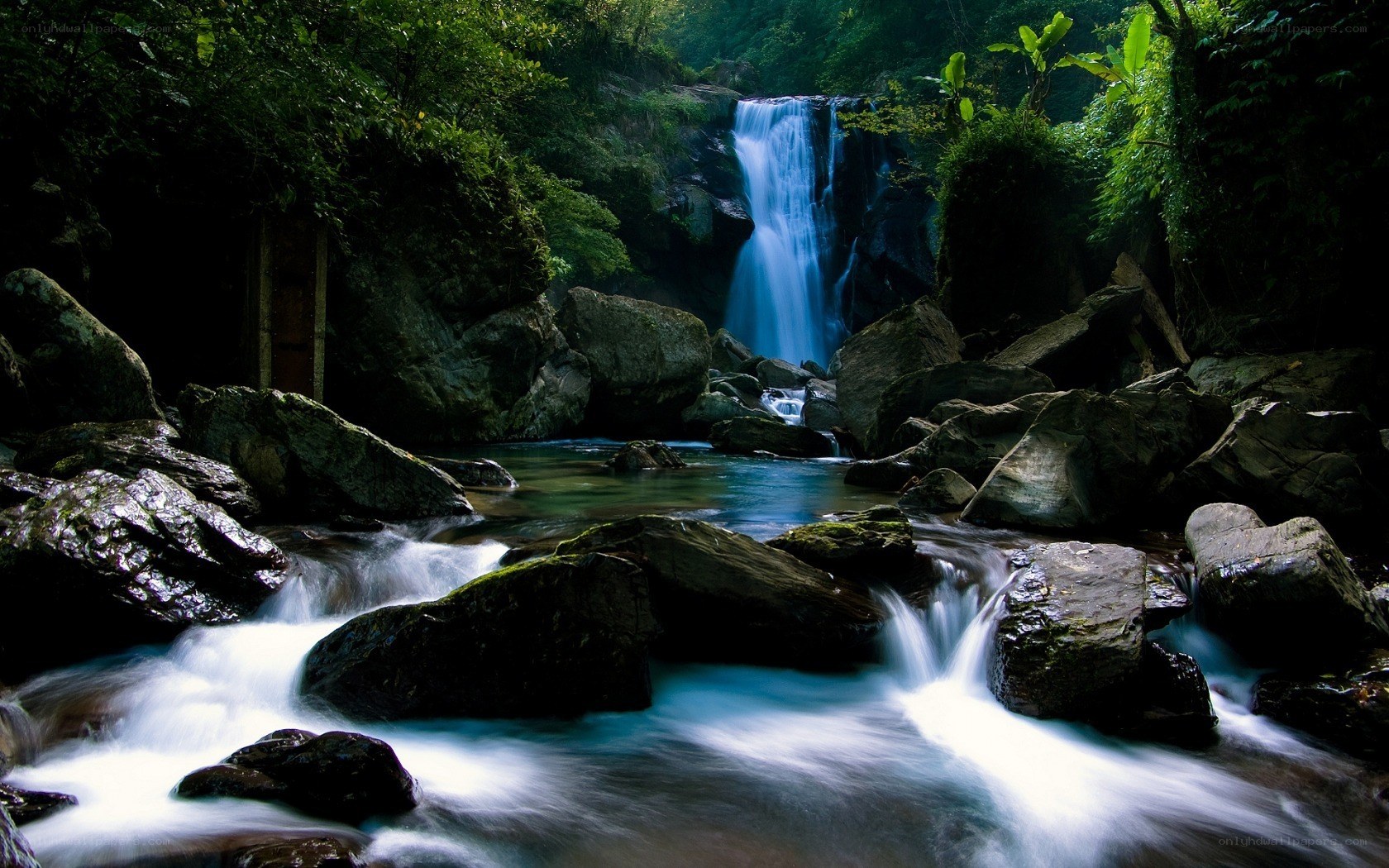 Waterfall in a lush forest