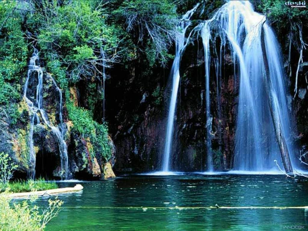 Waterfall in a lush forest