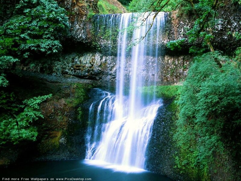 Waterfall in a lush forest