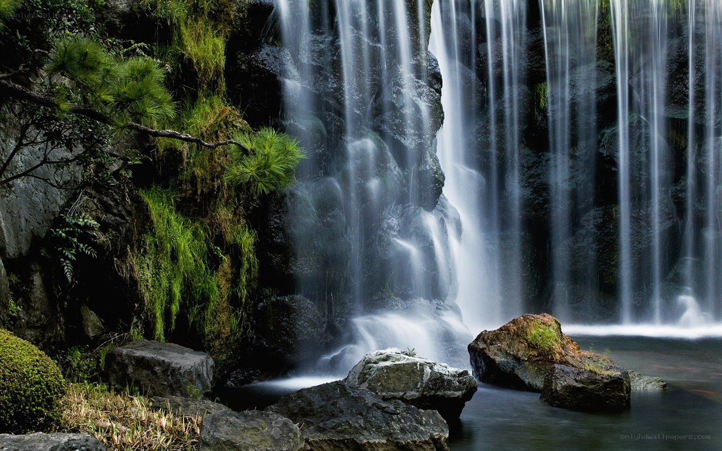 Waterfall in a lush forest