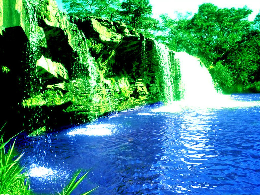 Waterfall in a lush forest