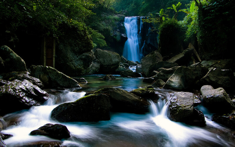 Waterfall in a lush forest