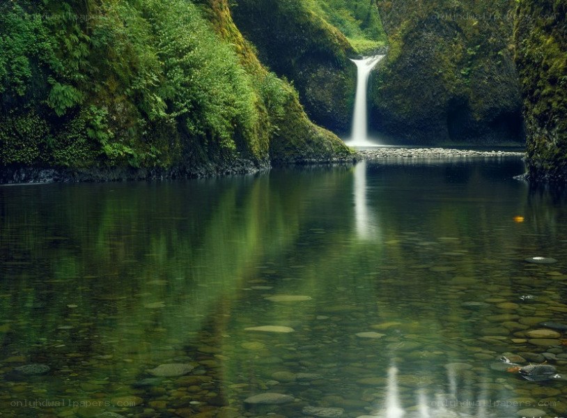 Waterfall in a lush forest