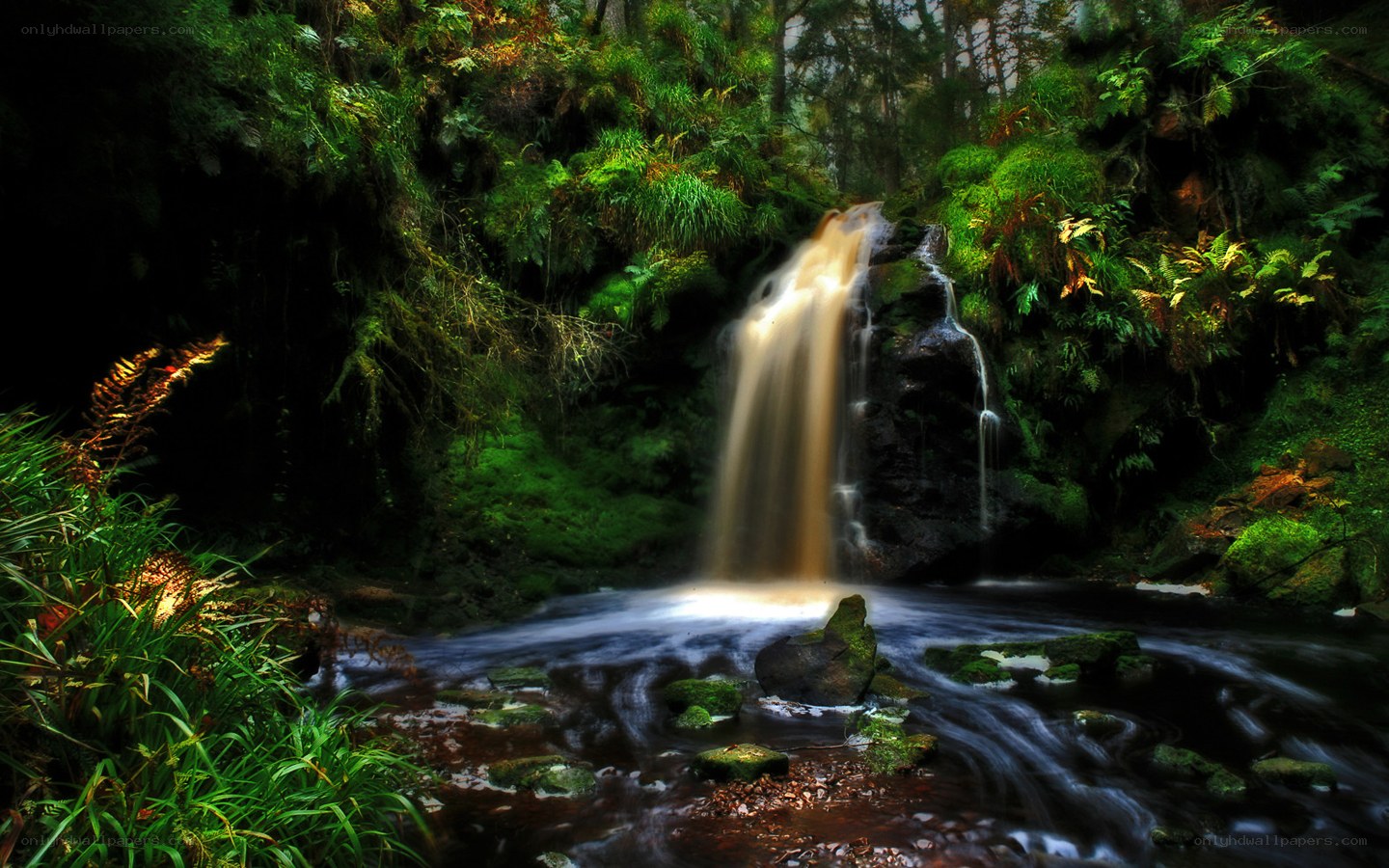 Waterfall in a lush forest