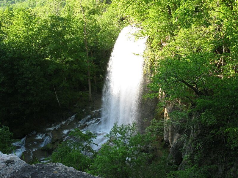 Waterfall in a lush forest