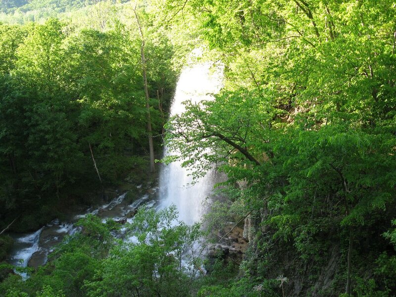Waterfall in a lush forest