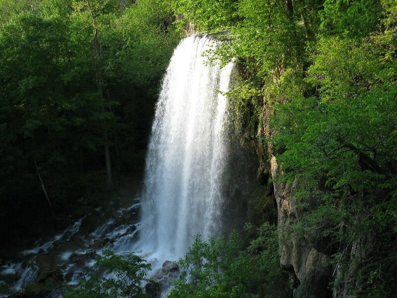 Waterfall in a lush forest