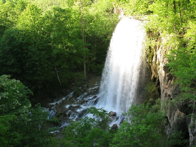 Waterfall in a lush forest