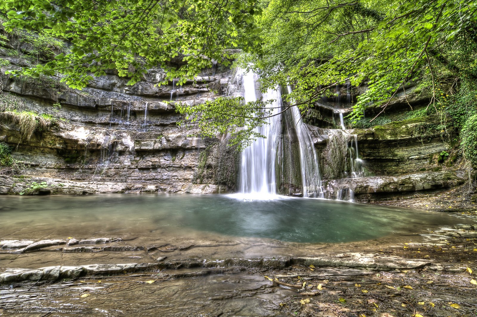 Waterfall in a lush forest