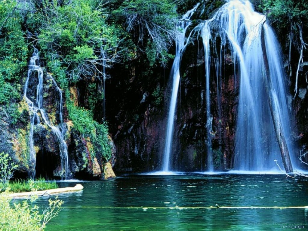 Waterfall in a lush forest