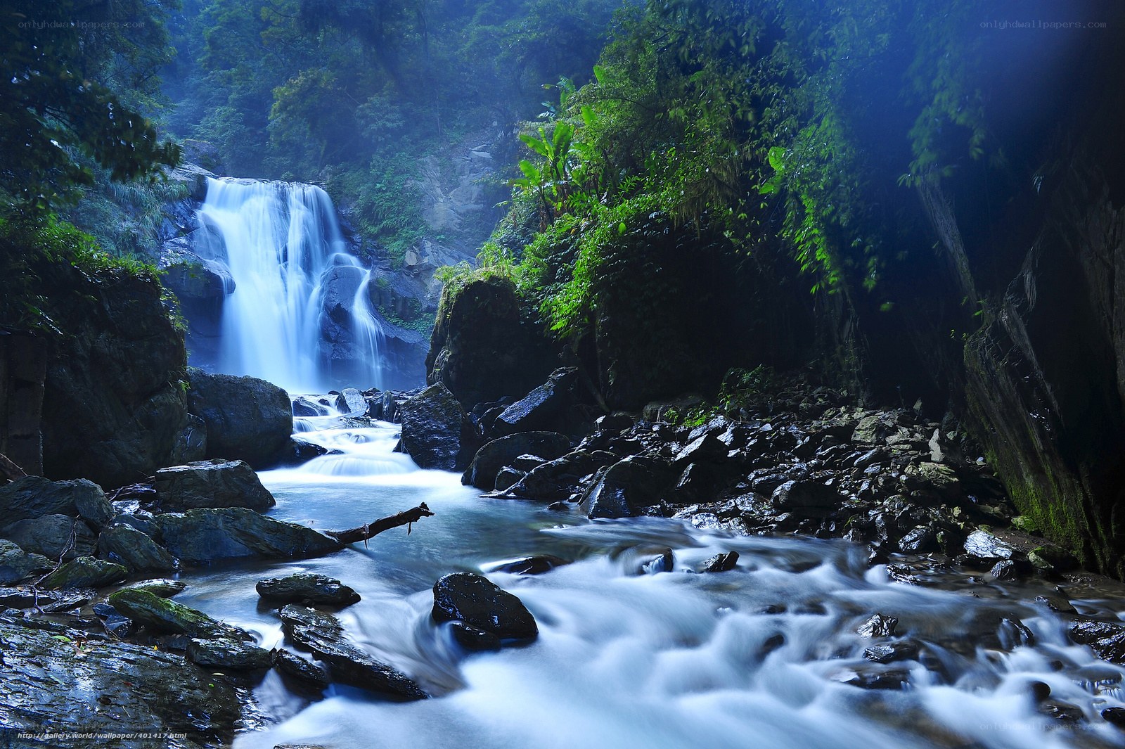 Waterfall in a lush forest