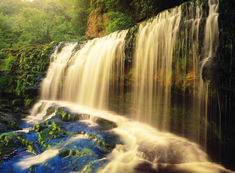 Waterfall in a lush forest