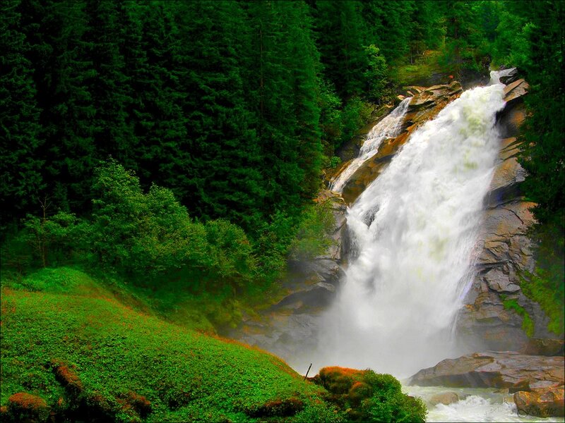 Waterfall in a lush forest