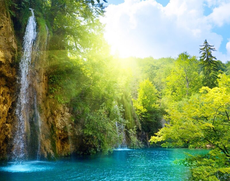Waterfall in a lush forest