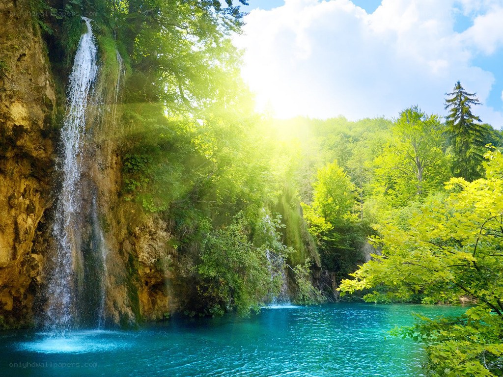 Waterfall in a lush forest