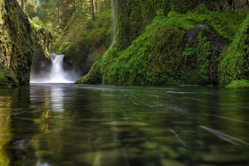 Waterfall in a lush forest