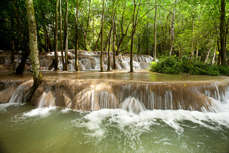 Waterfall in a lush forest