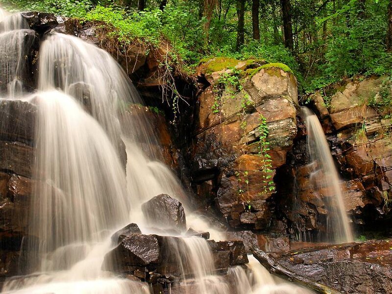 Waterfall in a lush forest
