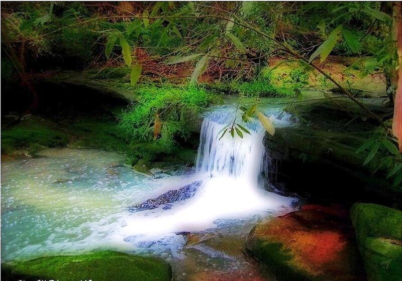 Waterfall in a lush forest