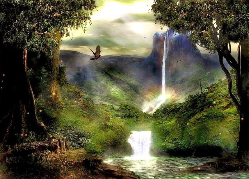 Waterfall in a lush forest