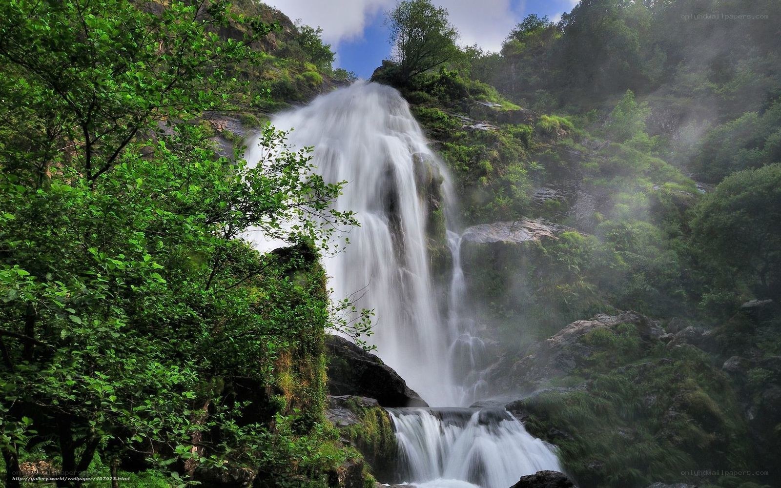 Waterfall in a lush forest