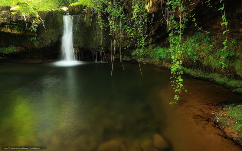 Waterfall in a lush forest