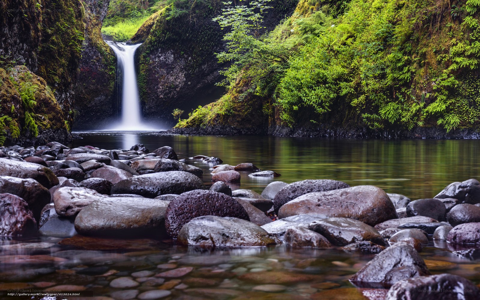 Waterfall in a lush forest