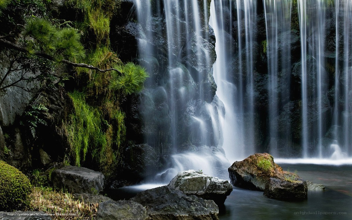 Waterfall in a lush forest