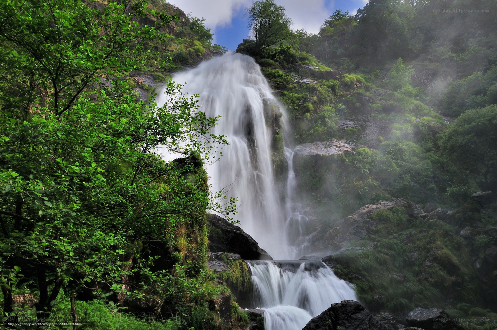 Waterfall in a lush forest