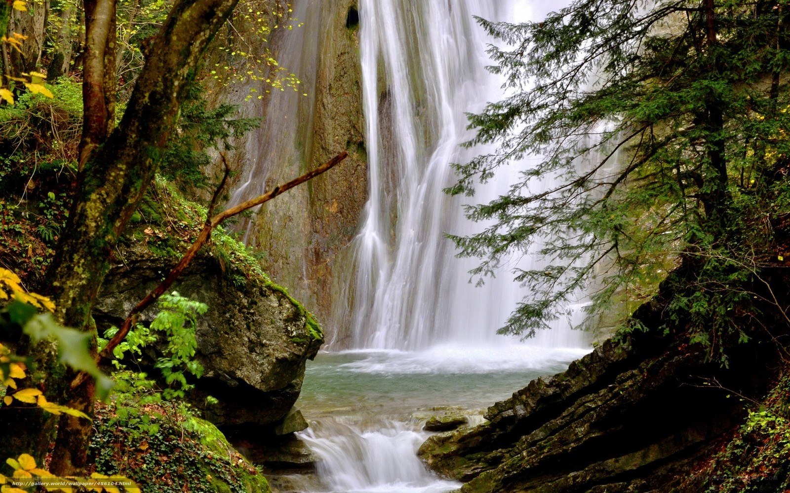 Waterfall in a lush forest
