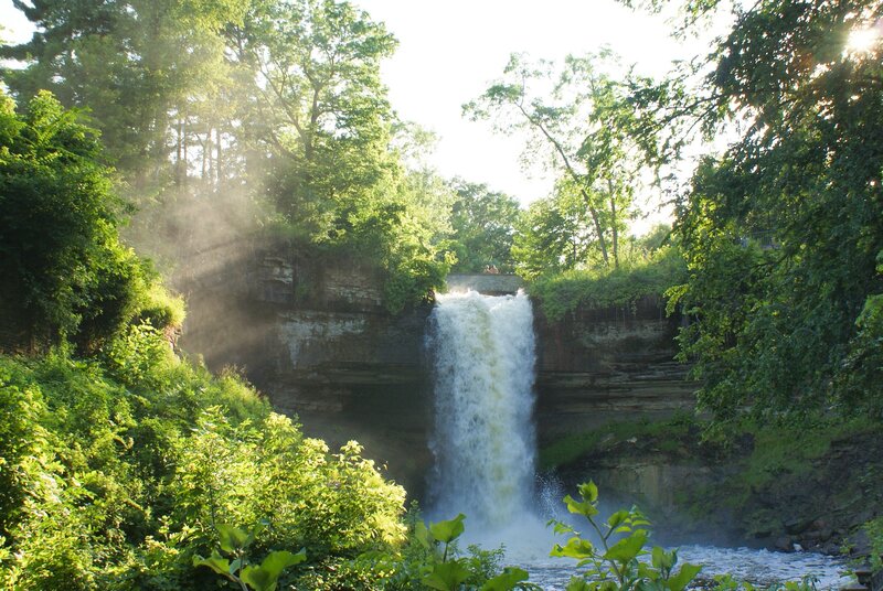 Waterfall in a lush forest