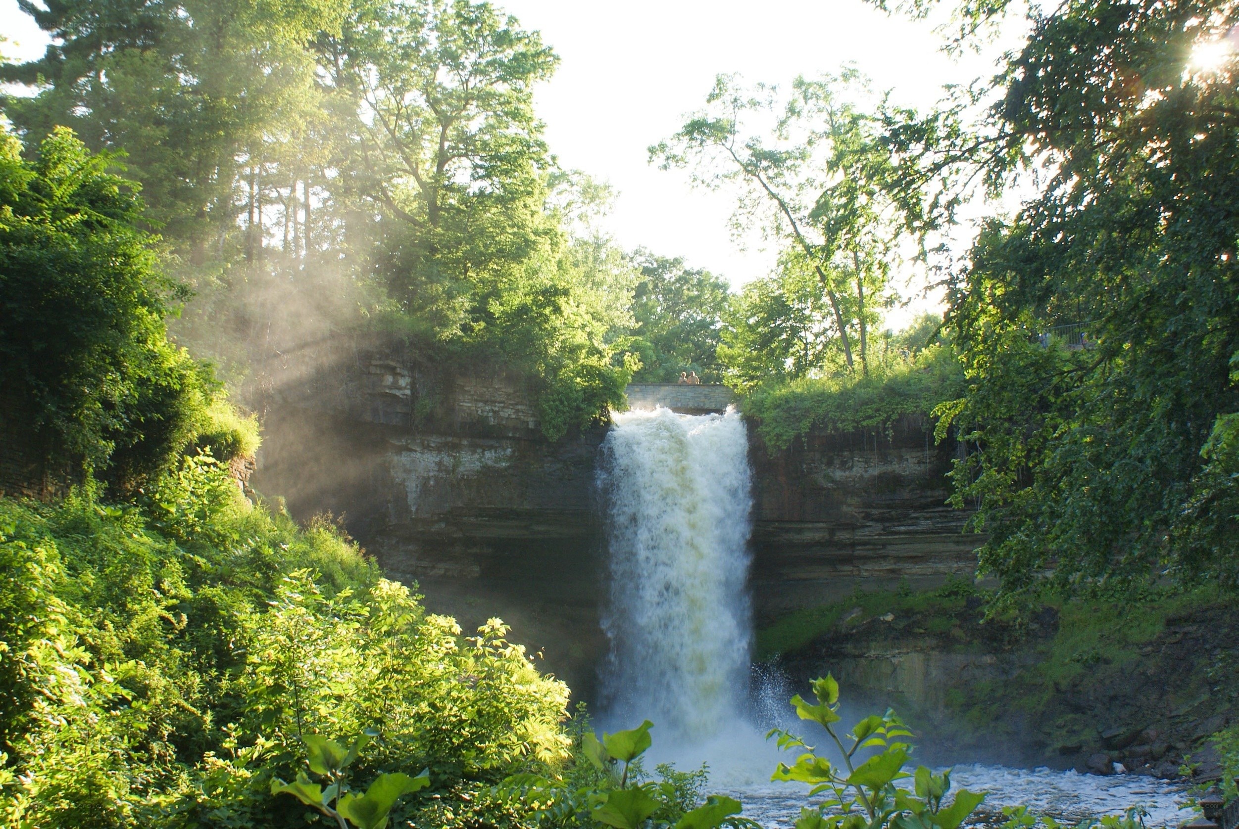 Waterfall in a lush forest