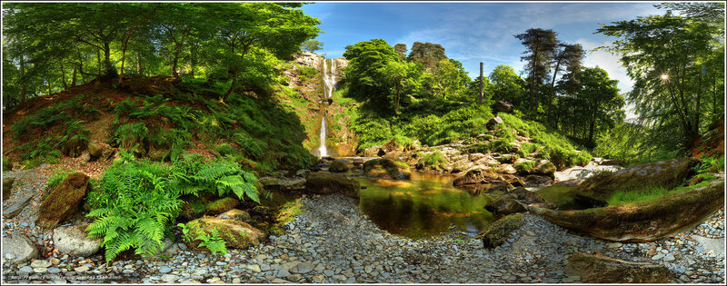 Waterfall in a lush forest
