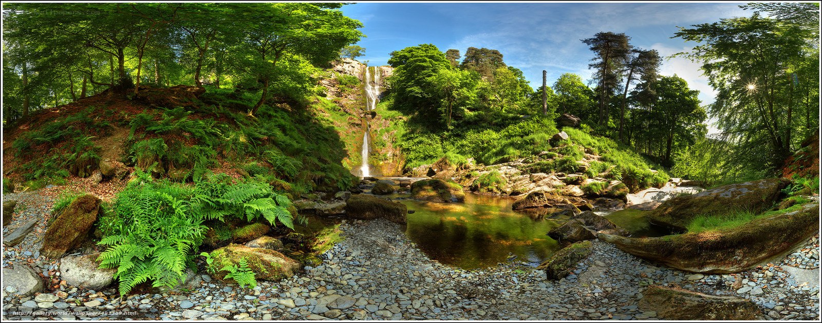 Waterfall in a lush forest