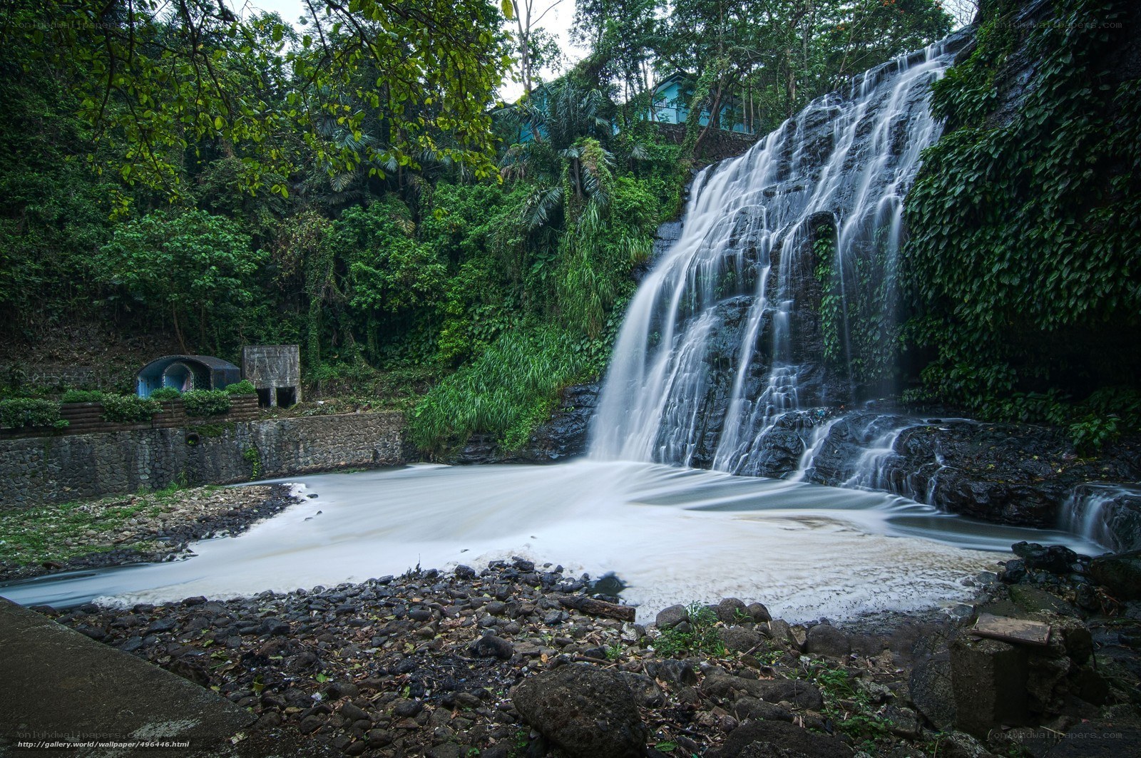 Waterfall in a lush forest