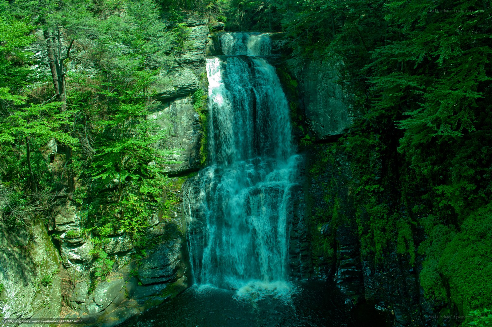 Waterfall in a lush forest