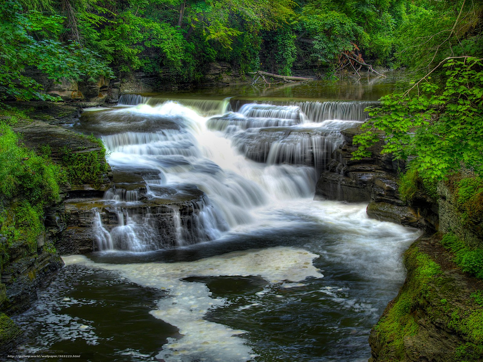 Waterfall in a lush forest