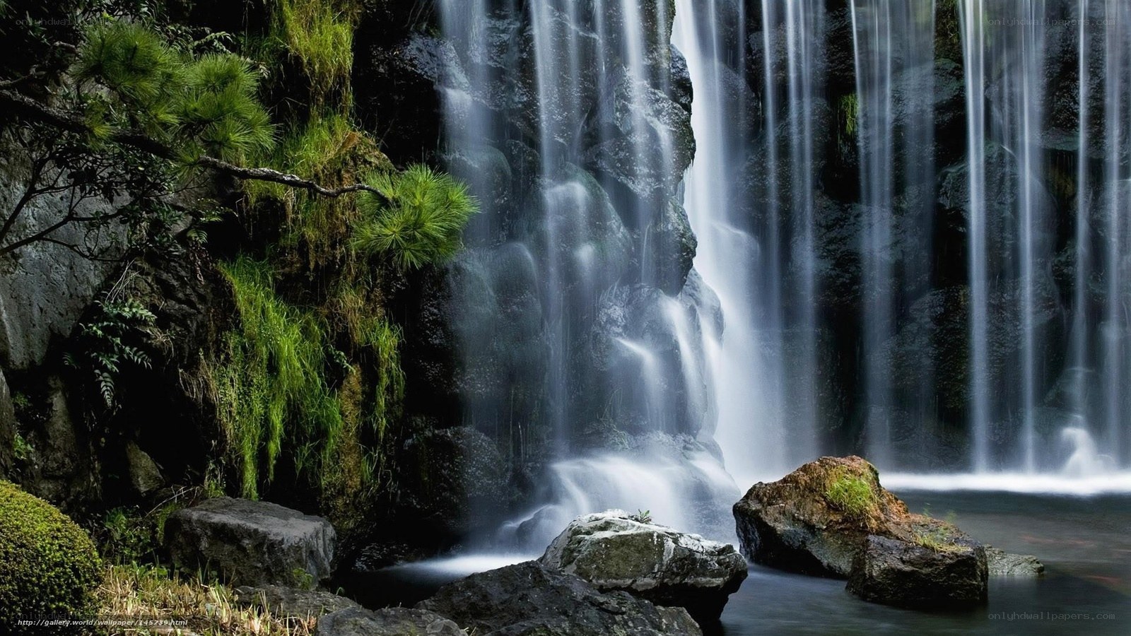 Waterfall in a lush forest