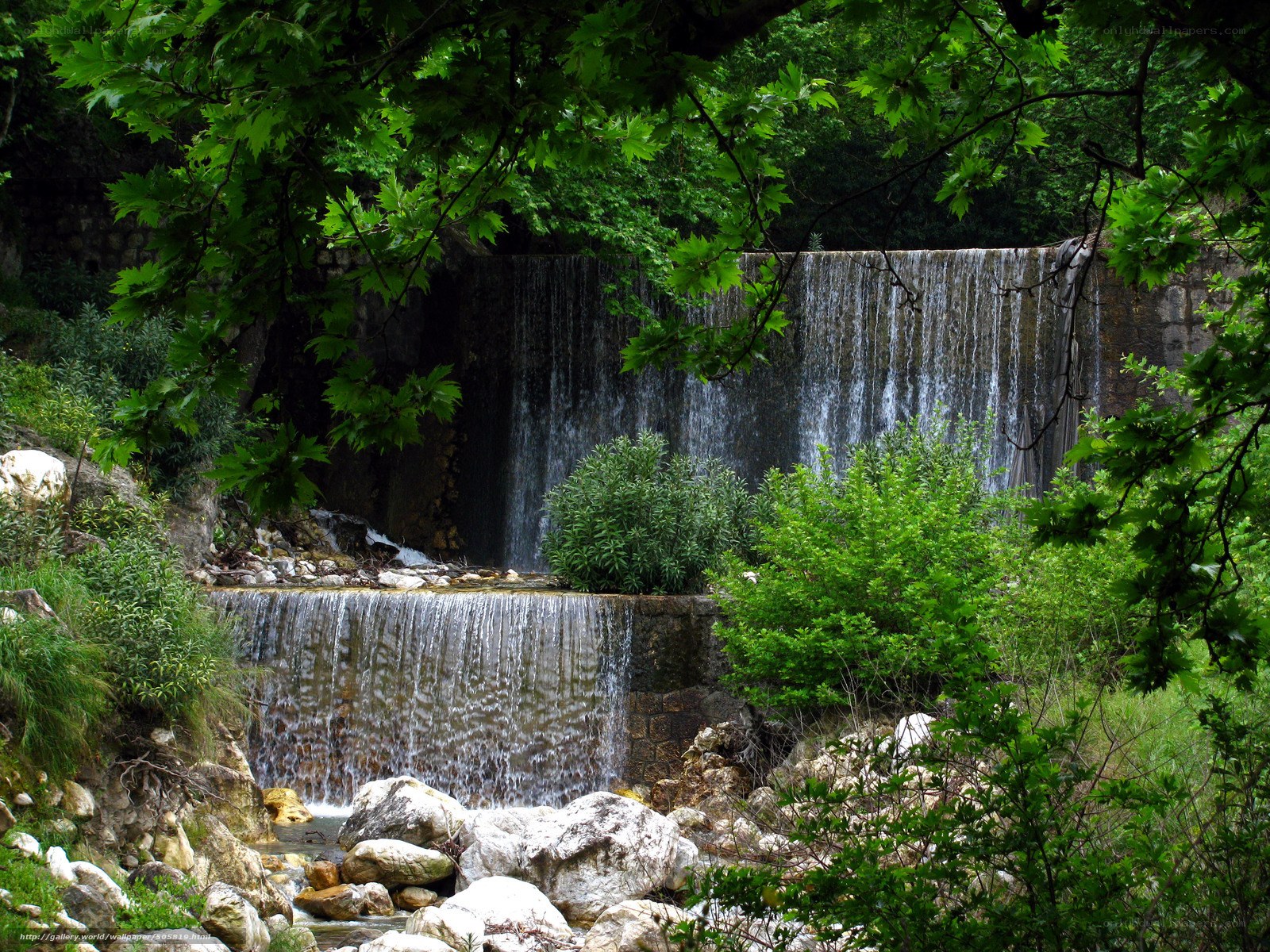 Waterfall in a lush forest